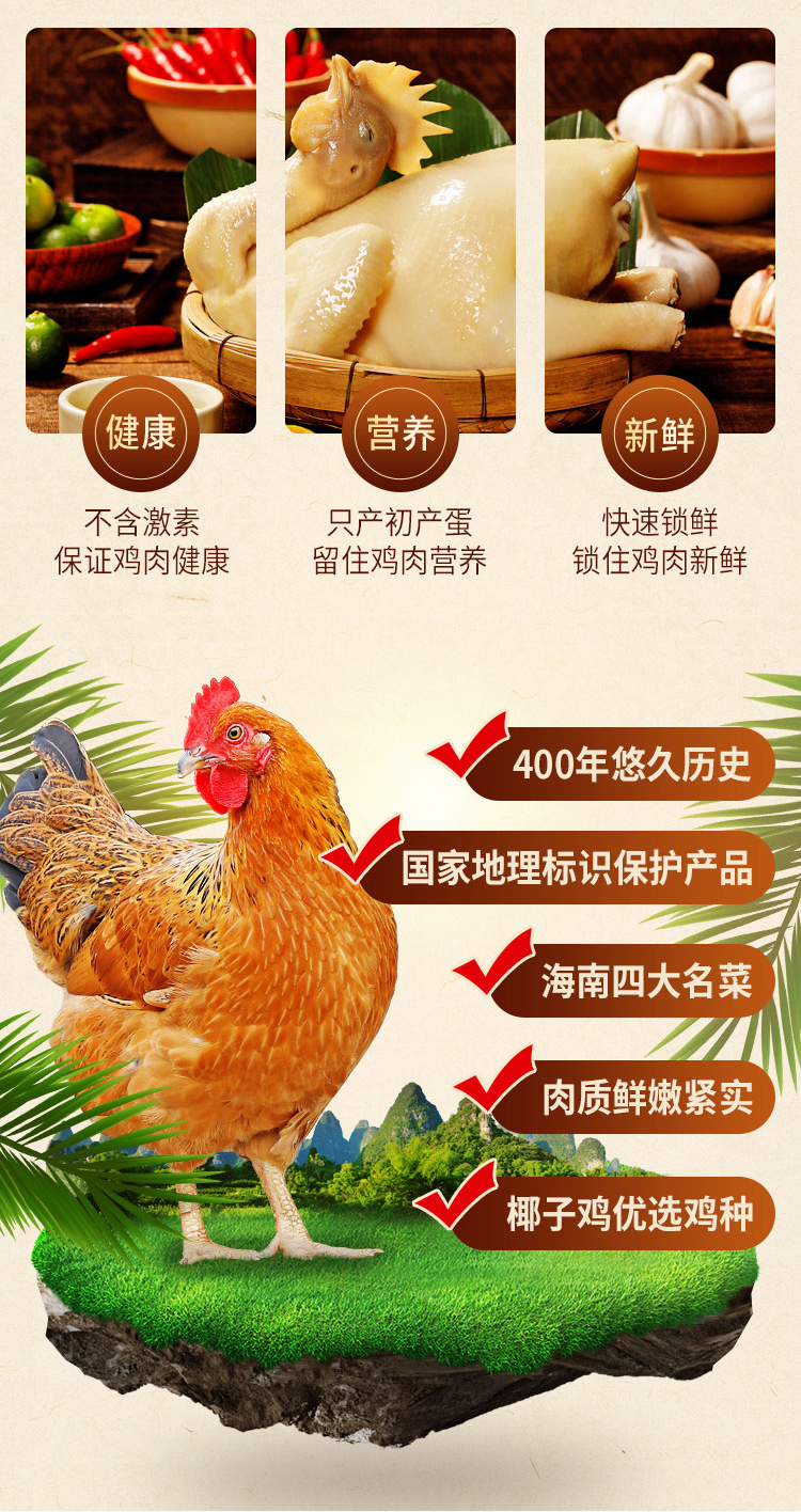 『海南文昌走地鸡』散养160天·全国顺丰包邮|可做白切鸡,豉油鸡,红焖