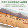 【全七册】动物的生活 狼、狮子、海豚、马、大象、瓢虫、猫 3-6岁儿童自然通识类野生动物朋友科普绘本童书籍阅读 商品缩略图3