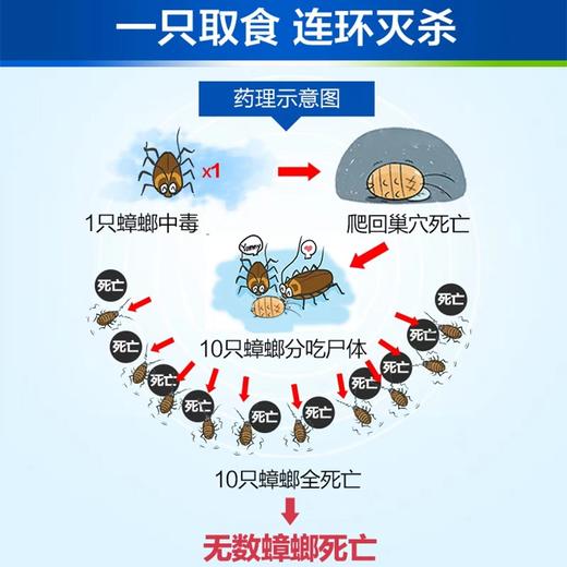 拜耳拜灭士杀蟑胶饵|蟑螂一窝端，孕婴家庭放心用 商品图5