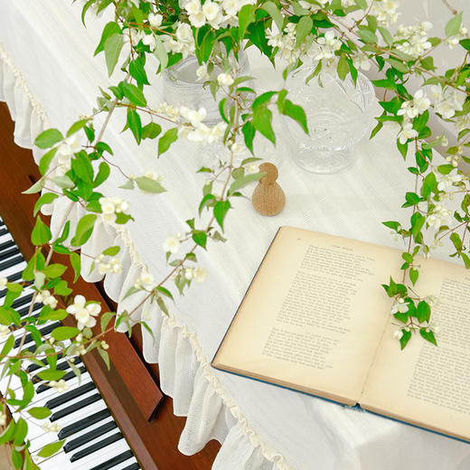 拉普兰德流苏现代简约钢琴半罩防尘钢琴巾 商品图2