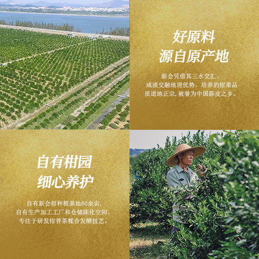 牛气冲天  正宗新会天马头采小青柑普洱茶特级云南熟茶陈皮桔普茶叶礼罐装 商品图2