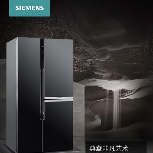 西门子（SIEMENS）冰箱KA96FP50TI 商品图3