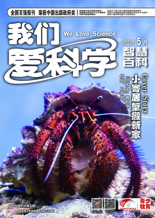 1-6年级适读少儿期刊《我们爱科学少年版》+《科学大侦探》+《快乐写作文》2022年-2023年订阅 商品图4