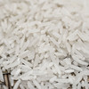 粒粒福象牙油粘米15kg 南方大米香甜油粘米当季新鲜籼米 商品缩略图1