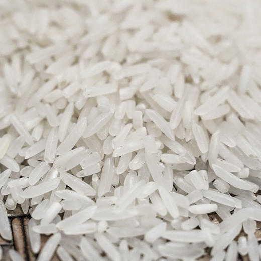 粒粒福象牙油粘米15kg 南方大米香甜油粘米当季新鲜籼米 商品图1