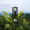 【寻梅】暗香浮动，百骸贯通   穿透力强，香气独特  2017古树春茶 商品缩略图0