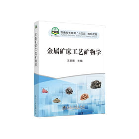 金属矿床工艺矿物学/王恩德