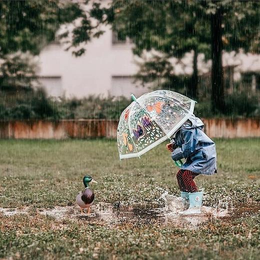 【透明雨伞】法国DJECO 儿童透明雨伞 可爱手绘ins风小雨伞 商品图10