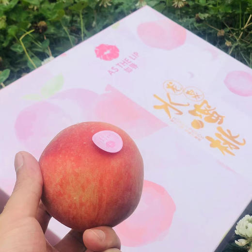 【礼盒】四川龙泉水蜜桃（5斤） 商品图1