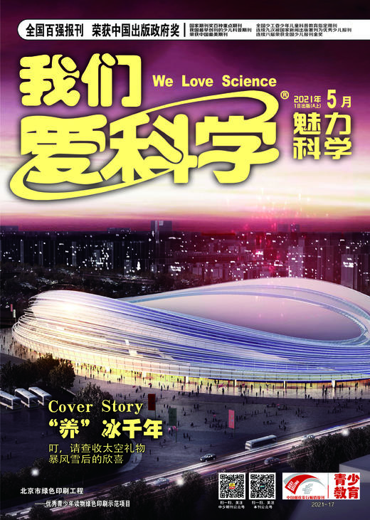 1-6年级适读少儿期刊《我们爱科学少年版》+《科学大侦探》+《快乐写作文》2022年-2023年订阅 商品图5