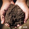 有机肥 | 羊粪  蚯蚓粪  量多优惠 | 新农人福利 | 包邮 | *Organic fertilizer 商品缩略图0