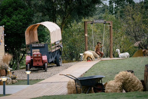 【麓客岛-小岛动物农场夜场票】火遍小红书的美式复古动物农场，欢迎来打卡，门票仅19.9元/人，与羊驼，山羊，小兔兔零距离接触，免预约，端午可用 商品图4