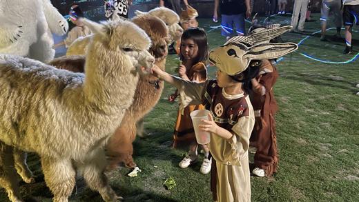 【麓客岛-小岛动物农场夜场票】火遍小红书的美式复古动物农场，欢迎来打卡，门票仅19.9元/人，与羊驼，山羊，小兔兔零距离接触，免预约，端午可用 商品图6