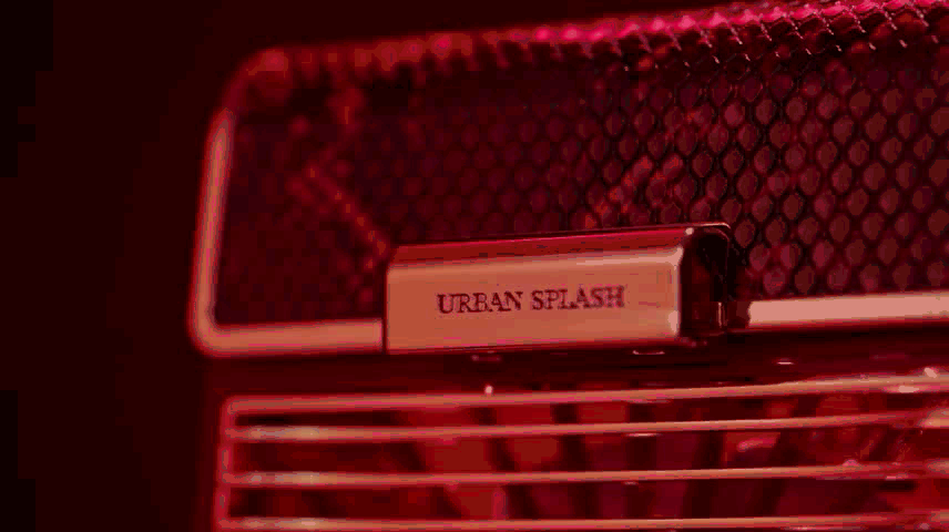 618专享｜有人对一只英国风扇一见钟情，形影不离，你信吗？