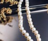 天然淡水珍珠项链/珍珠7mm 商品缩略图5