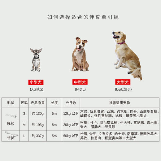 福莱希荧光黄 5米 50公斤带状 L 商品图2