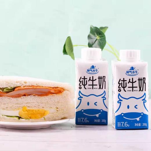 神气水牛纯牛奶200g 商品图2