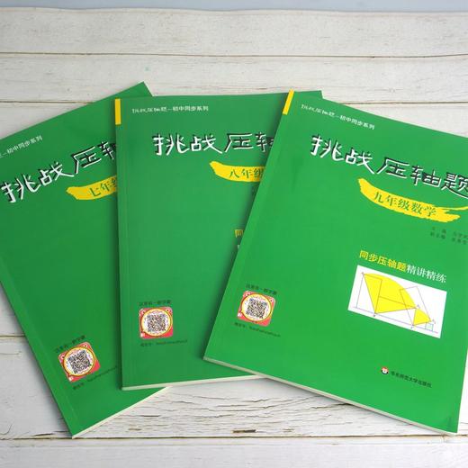 挑战压轴题 中考数学7-9年级 初中同步系列 精讲精练 马学斌 商品图2