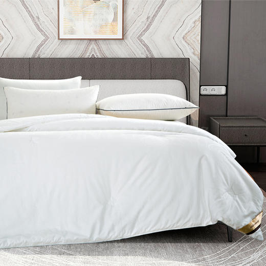 鑫缘系列纯桑蚕丝被 AAZA 商品图1