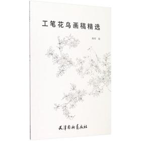 工笔花鸟画稿精选