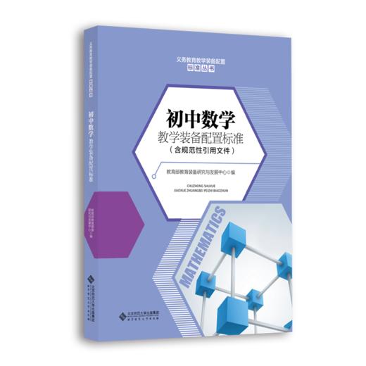 初中数学教学装备配置标准 9787303266067 教育部教育装备研究与发展中心 编写 北京师范大学出版社 正版书籍 商品图0