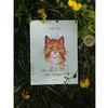 猫 猫 猫 作家美绘馆 路易斯 韦恩 著 欧美动漫 商品缩略图3