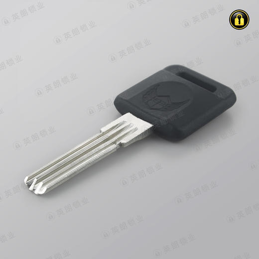 〖B529〗新款黄金甲 商品图2