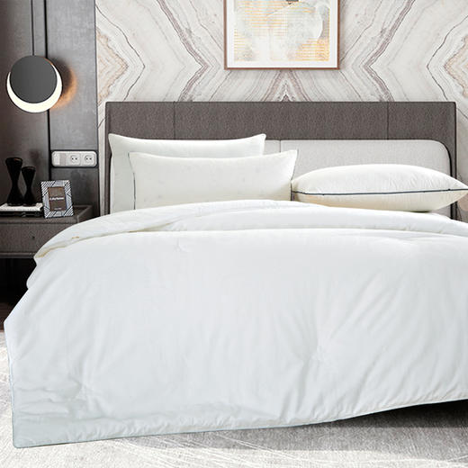 鑫缘系列纯桑蚕丝被 AAZA 商品图0