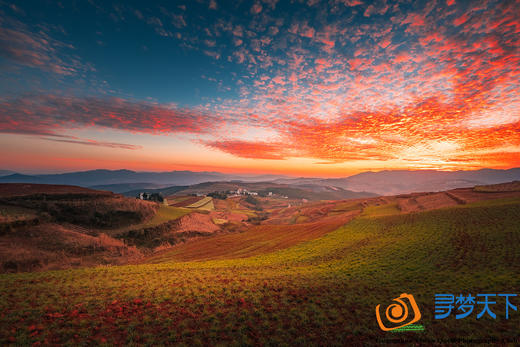 【行摄滇东南】东川红土地、元阳梯田、弥勒、建水古城、网红蚁工坊抚仙湖9日 商品图9