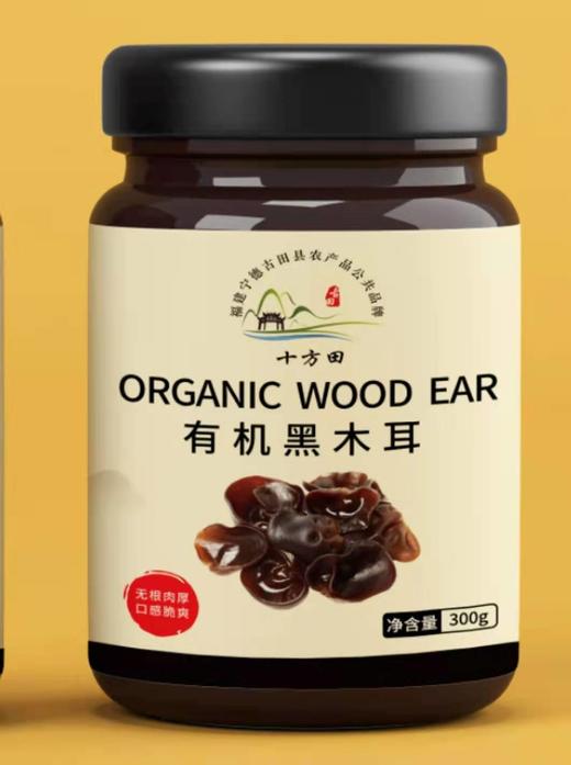 十方田有机黑木耳300g（罐装） 商品图0