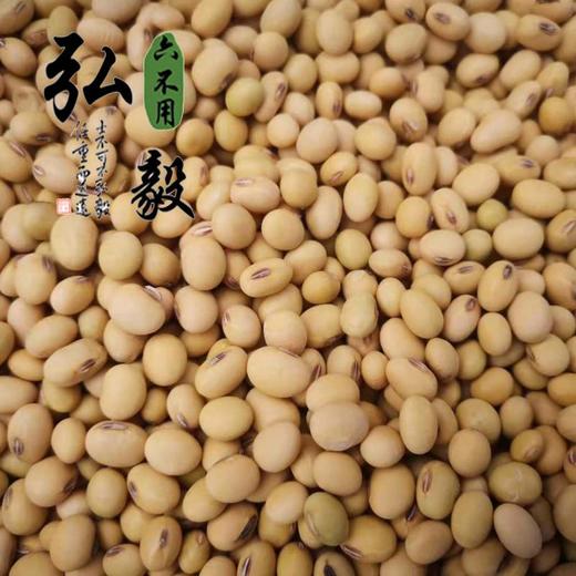 【弘毅六不用生态农场】六不用 大豆 笨黄豆 商品图0