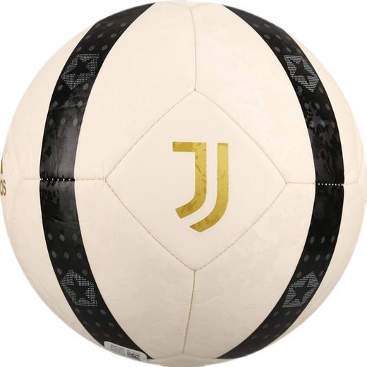 小李子ADIDAS/阿迪达斯尤文图斯5号成人机缝训练比赛足球男GT3917 商品图4