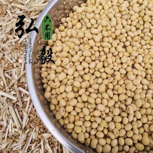 【弘毅六不用生态农场】六不用 大豆 笨黄豆 商品图1