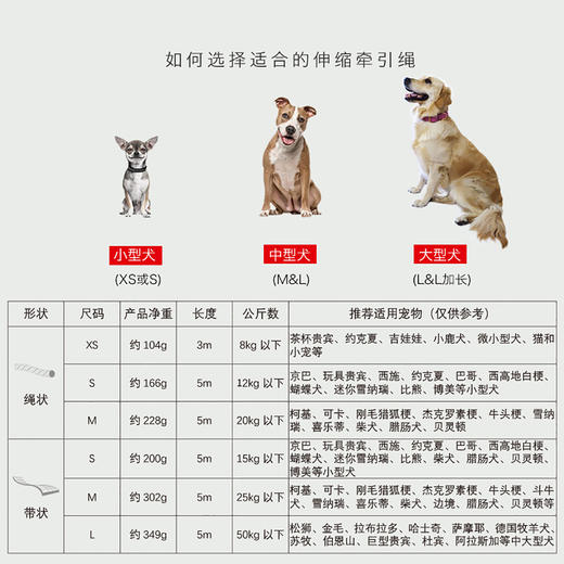 福莱希土豪金（New Neon) L 5米 50公斤带状 商品图3