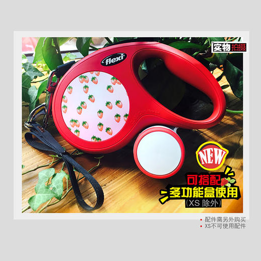福莱希草莓款福莱希狗狗牵引绳外星人自动伸缩狗链子泰迪金毛大中小型犬遛狗绳 商品图1