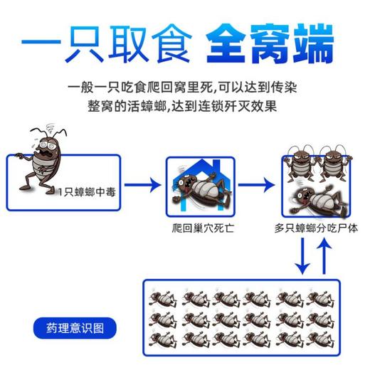 【蟑螂清理】连环杀 一只取食一窝团灭 效果持久 盒式设计方便卫生 TOPONE蟑螂盒 商品图1