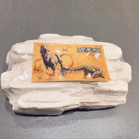 匹诺考古大型现场挖掘系列（青铜）