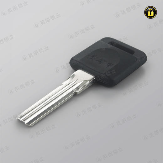 〖B529〗新款黄金甲 商品图1