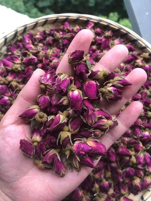 玫瑰（兰州玫瑰） 商品图4