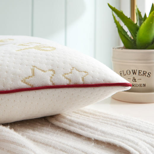 迪士尼 乳胶枕单只 27*42cm【CZ】 商品图2