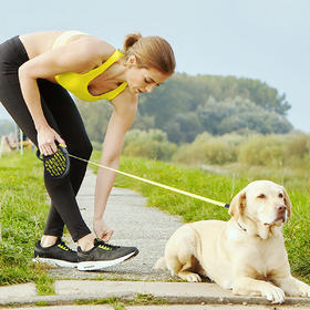 福莱希荧光黄 5米 50公斤带状 L