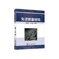 先进碳基材料\邹建新  丁义超 商品图0
