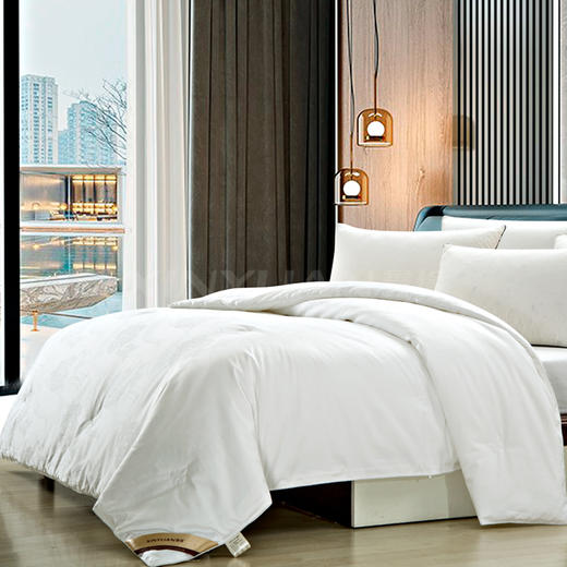 鑫缘系列纯桑蚕丝被 AAPK 商品图0