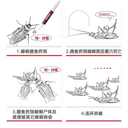 彩虹杀蟑胶饵5806 商品图5