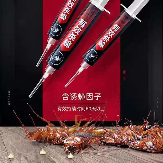 彩虹杀蟑胶饵5806 商品图3