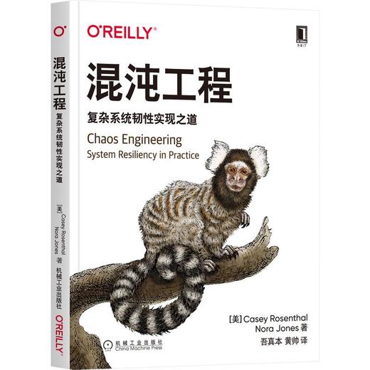 混沌工程 复杂系统韧性实现之道 商品图0