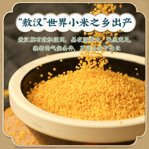 米小芽有机黄小米两罐装 商品图3