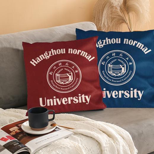 杭师大抱枕 商品图1