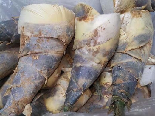 精品新鲜货马蹄笋9001000克