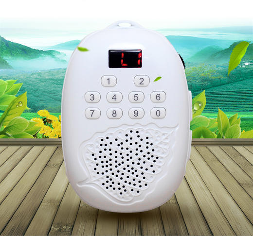 菩提果音频机（空机） 商品图0